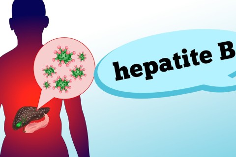 HEPATITE B: sintomas, fases, contaminação e prevenção
