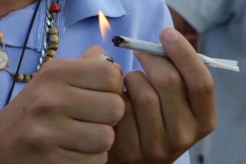 O Brasil está preparado para a liberação da maconha? O que dizem os especialistas?